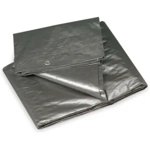 APPROVED VENDOR 2ZJ45 Tarp Polyethylene Silver/black 6x8 Feet | AC4EXM