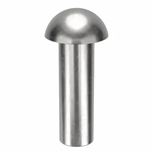 APPROVED VENDOR 35F1016.1-EA-10 Rivet Round 5/16 Diameter 1 Inch Length, 10PK | AE9MLX 6KU76