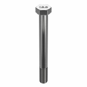 APPROVED VENDOR U51000.087.1000 Hex Cap Screw Stainless Steel 7/8-9 x 10 | AB8UHU 29DN84
