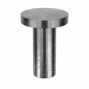 APPROVED VENDOR 411012 Rivet Flat 5/16 Diameter 3/4 Inch Length, 35PK | AE9NCP 6KY60