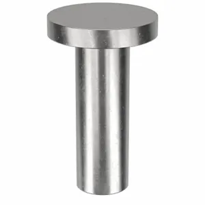 APPROVED VENDOR 41F0406-EA-100 Rivet Flat 1/8 Diameter 3/8 Inch Length, 100PK | AE9NDB 6KY71