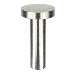 APPROVED VENDOR 42A0610-EA-100 Rivet Flat 3/16 Diameter 5/8 Inch Length, 100PK | AE9PFG 6LA39