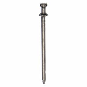 APPROVED VENDOR 4NFD8 Scaffold Nail 8D 2 1/4 Inch Length, 440PK | AD8XEW