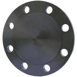 APPROVED VENDOR 4TXE7 Blind Flange 5 Inch Welded | AD9PGX