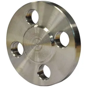 APPROVED VENDOR 4WPY5 Blind Flange 2 Inch Welded 316 Stainless Steel | AE2DUH