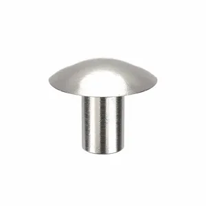 APPROVED VENDOR 55A0605-EA-250 Rivet Brazier 3/16 D 5/16 L, 250PK | AE9PKE 6LB39