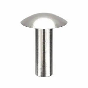 APPROVED VENDOR 55A0820-EA-50 Rivet Brazier 1/4 Diameter 1 1/4 L, 50PK | AE9PKR 6LB50