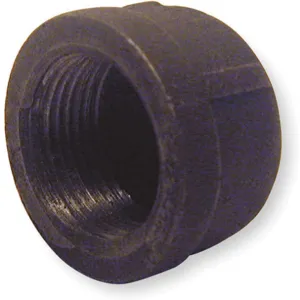 APPROVED VENDOR 5P535 Cap 3/4 Inch Fnpt | AE4YYR