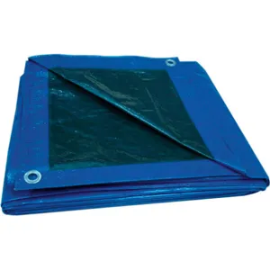 APPROVED VENDOR 5WTK6 Tarp Reversible Polyethylene 20 x 20 Feet | AE7BVU