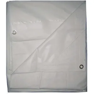 APPROVED VENDOR 5WTN0 Tarp Flame Resistant Polyethylene 10x12 Feet | AE7BWJ