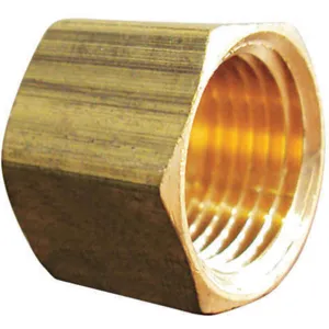 APPROVED VENDOR 6AYZ5 Brass Cap 1/2 Inch Fnpt | AE7WWR