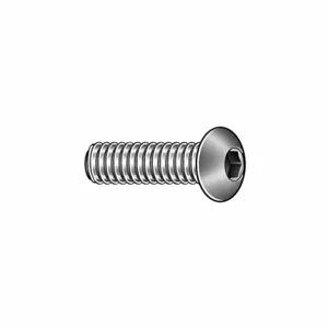 APPROVED VENDOR 6EB96 Socket Cap Screw Button M3 x 0.50 X 5, 50PK | AE8MTX