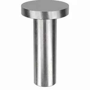 APPROVED VENDOR 6LA11 Rivet Flat 5/16 Inch Diameter 1 Inch Length, 10PK | AE9PEB