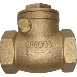 APPROVED VENDOR GGS_6NN91 Swing Check Valve Brass 1 Inch Npt | AF2LVX 6VDT5