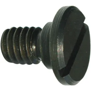 APPROVED VENDOR LSTW2 Lock Screw | AA2RBH 10Z280