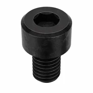 APPROVED VENDOR M07000.080.0012 Socket Cap Screw Standard M8 x 1.25X12, 100PK | AE8EZD 6CU14