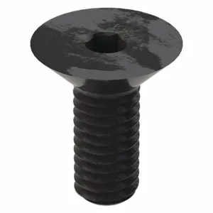 APPROVED VENDOR M07400.030.0006 Socket Cap Screw Flat M3 x 0.50 X 6., 100PK | AB8TPL 29DH54