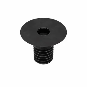 APPROVED VENDOR M07400.080.0010 Socket Cap Screw Flat M8 x 1.25 X 10, 100PK | AB8NPG 26LF21