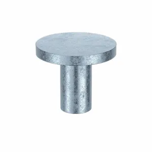 APPROVED VENDOR TRSL01 Rivet Flat 0.110 D 13/64 L, 1000PK | AE9PKV 6LB53