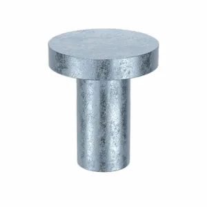 APPROVED VENDOR TRSL12 Rivet Flat 0.257 Diameter 1/2 Inch Length, 80PK | AE9PLG 6LB64