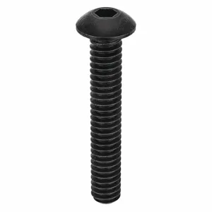 APPROVED VENDOR U07150.009.0062 Socket Cap Screw Button 3-48 X 5/8, 100PK | AB8UBD 29DL56