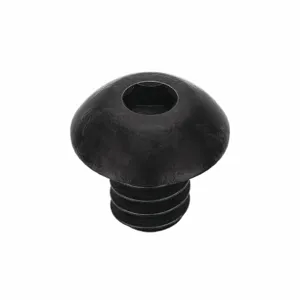 APPROVED VENDOR U07150.019.0025 Socket Cap Screw Button 10-24 X 1/4, 100PK | AA9APU 1BU78