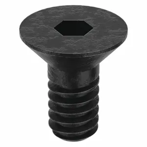 APPROVED VENDOR U07410.019.0031 Socket Cap Screw Flat 10-24 X 5/16, 100PK | AB8MKW 26KZ13