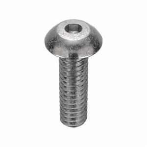 APPROVED VENDOR U51030.008.0031 Socket Cap Screw Button Stainless Steel 2-56 X 5/16, 100PK | AC3TXT 2WB43