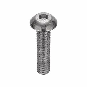 APPROVED VENDOR U51030.019.0087 Socket Cap Screw Button Stainless Steel 10-24 X 7/8, 100PK | AC3TZK 2WB85