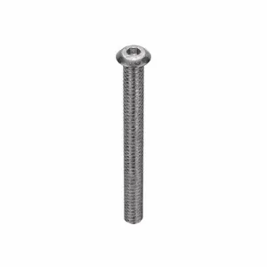 APPROVED VENDOR U51030.019.0200 Socket Cap Screw Button Stainless Steel 10-24 X 2, 100PK | AB7DAB 22TY47