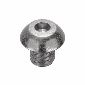 APPROVED VENDOR U51030.025.0031 Socket Cap Screw Button Ss 1/4-20 X 5/16, 100PK | AC3UCH 2WE11