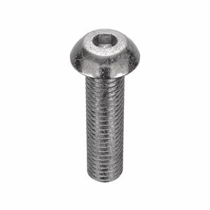 APPROVED VENDOR U51030.050.0200 Socket Cap Screw Button Stainless Steel 1/2-13 X 2, 10PK | AB8NMU 26LE84