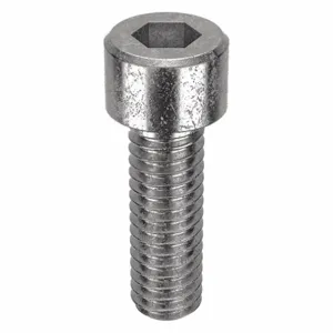 APPROVED VENDOR U51041.009.0031 Socket Cap Screw Standard Stainless Steel 3-56X5/16, 100PK | AB8MFH 26KY07