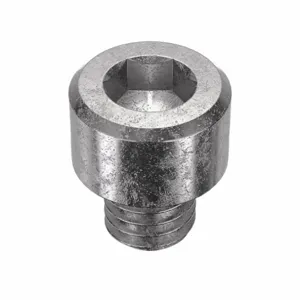 APPROVED VENDOR U51041.019.0018 Socket Cap Screw Standard Stainless Steel 10-32X3/16, 100PK | AB7CUA 22TX07