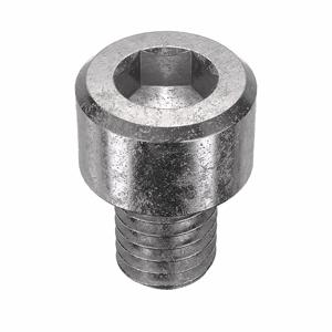 APPROVED VENDOR U51041.019.0025 Socket Cap Screw Standard Stainless Steel 10-32X1/4, 100PK | AF2QBY 6XB17