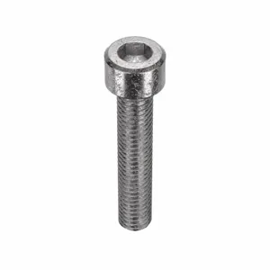 APPROVED VENDOR U51041.019.0100 Socket Cap Screw Standard Stainless Steel 10-32X1, 100PK | AF2QCF 6XB26