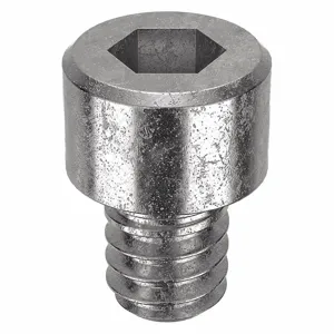 APPROVED VENDOR U51050.009.0012 Socket Cap Screw Standard Stainless Steel 3-48X1/8, 100PK | AB8LTE 26KV23