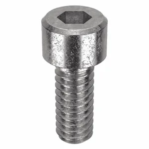 APPROVED VENDOR U51050.012.0031 Socket Cap Screw Standard Stainless Steel 5-40X5/16, 100PK | AB8LTJ 26KV27