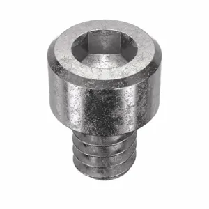 APPROVED VENDOR U51050.019.0025 Socket Cap Screw Standard Stainless Steel 10-24X1/4, 100PK | AF2PYR 6XA89