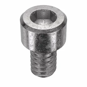 APPROVED VENDOR U51050.019.0031 Socket Cap Screw Standard Stainless Steel 10-24X5/16, 100PK | AF2PYT 6XA90