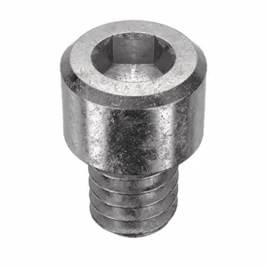 APPROVED VENDOR U51050.025.0031 Socket Cap Screw Standard Ss 1/4-20X5/16, 100PK | AB7CDD 22TT82