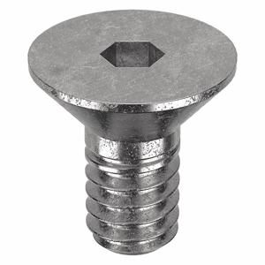 APPROVED VENDOR U51060.008.0012 Socket Cap Screw Flat Stainless Steel 2-56 X 1/8, 100PK | AB8UNE 29DP93