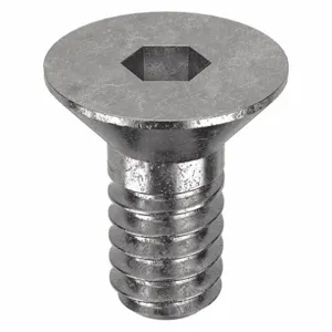 APPROVED VENDOR U51060.019.0031 Socket Cap Screw Flat Stainless Steel 10-24 X 5/16, 100PK | AB8MZZ 26LC09