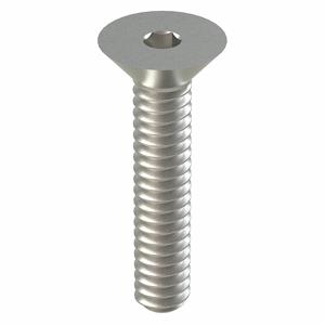 APPROVED VENDOR U51060.019.0087 Socket Cap Screw Flat Stainless Steel 10-24 X 7/8, 100PK | AB8NAB 26LC11