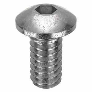 APPROVED VENDOR U51130.006.0012 Socket Cap Screw Button Stainless Steel 0-80 X 1/8, 100PK | AB8NMX 26LE87