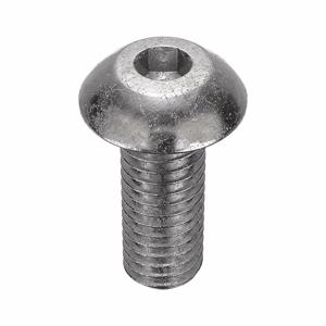 APPROVED VENDOR U51130.019.0050 Socket Cap Screw Button Stainless Steel 10-32 X 1/2, 100PK | AC3TZT 2WB94
