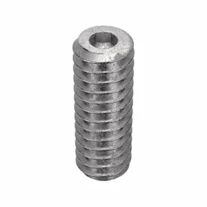 APPROVED VENDOR U51260.008.0025 Socket Set Screw Cup 2-56 X 1/4, 100PK | AE4TBH 5MNW7