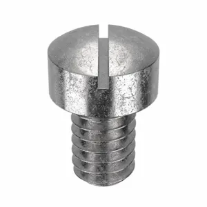 APPROVED VENDOR U51341.016.0025 Machine Screw Fillister 8-32 X 1/4 L, 100PK | AB9DDZ 2CA85