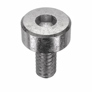 APPROVED VENDOR U55050.011.0025 Socket Cap Screw Standard Stainless Steel 4-40X1/4, 100PK | AB7CHF 22TU77