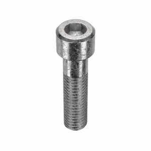 APPROVED VENDOR U55050.050.0200 Socket Cap Screw Standard Stainless Steel 1/2-13X2, 10PK | AB7CLM 22TV53